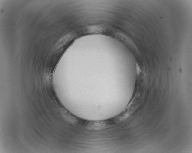 X0000079310329200612151758