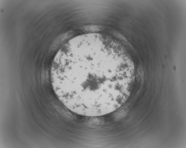 X0000079310330200612151758