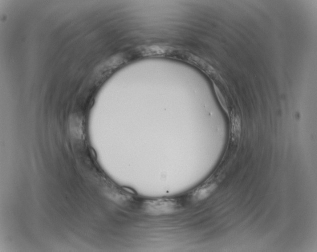 X0000079310331200612151758