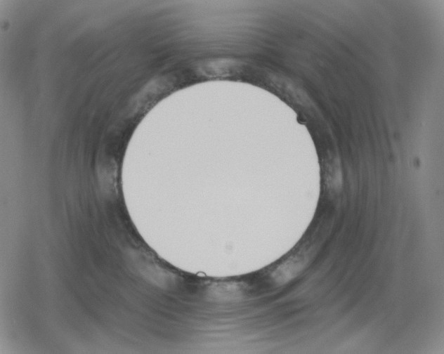 X0000079310332200612151758