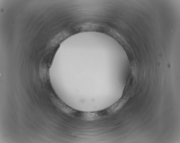 X0000079310333200612151758