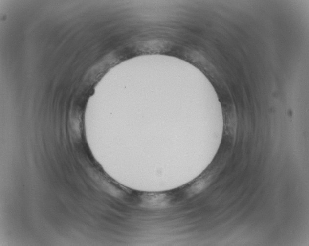 X0000079310334200612151758