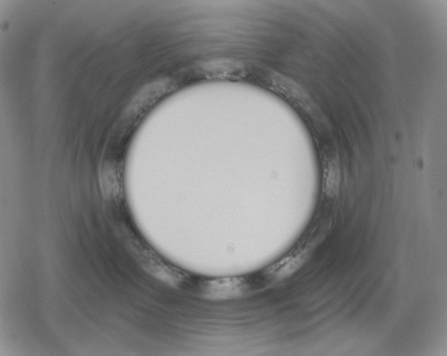 X0000079310335200612151758