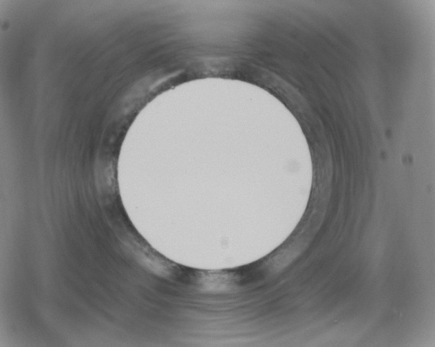 X0000079310336200612151758