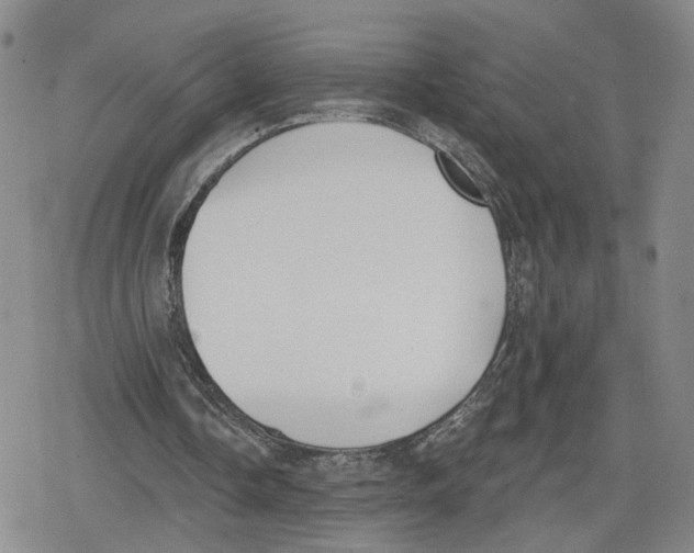 X0000079310338200612151757