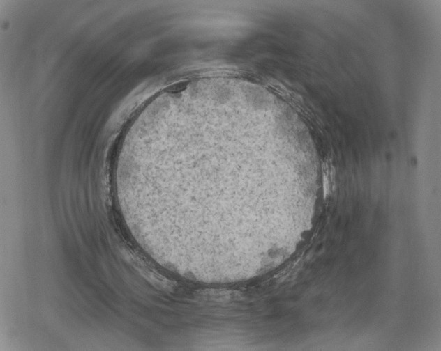 X0000079310339200612151757