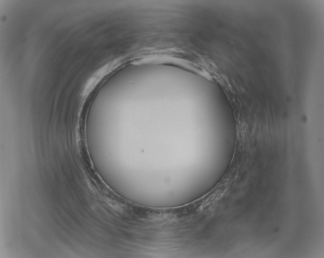 X0000079310340200612151757