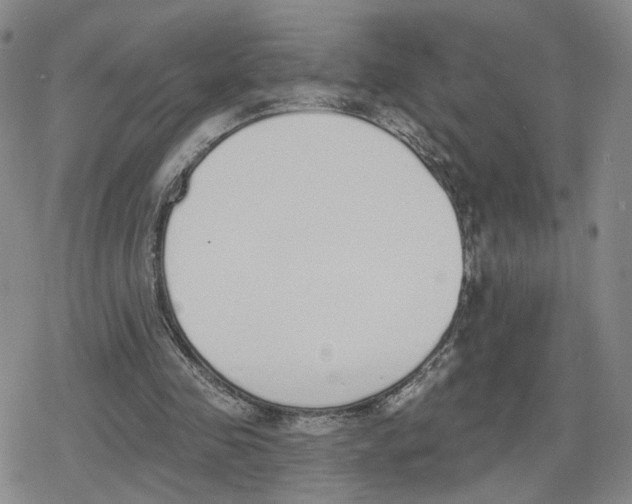 X0000079310341200612151757