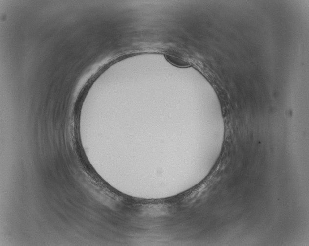 X0000079310342200612151757