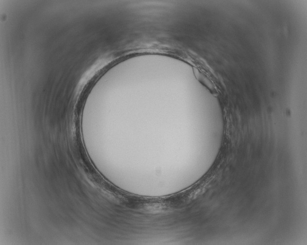 X0000079310344200612151758