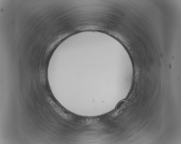 X0000079310345200612151758