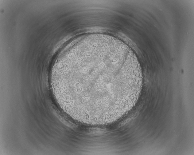 X0000079310347200612151758