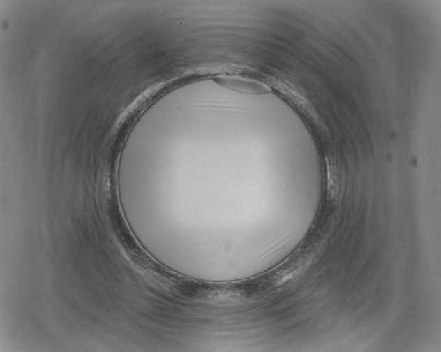 X0000079310348200612151758