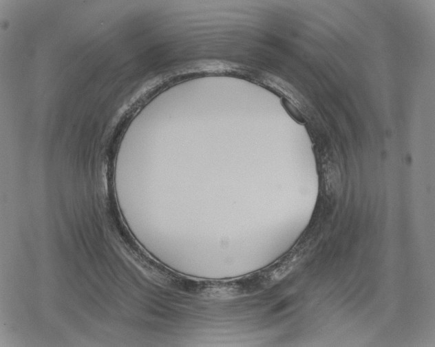 X0000079310350200612151758