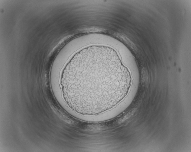 X0000079310351200612151758