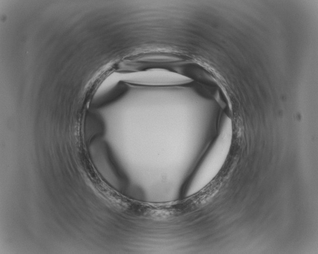 X0000079310352200612151758