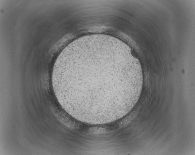 X0000079310354200612151758