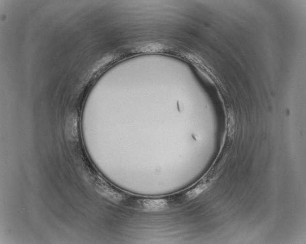 X0000079310355200612151758