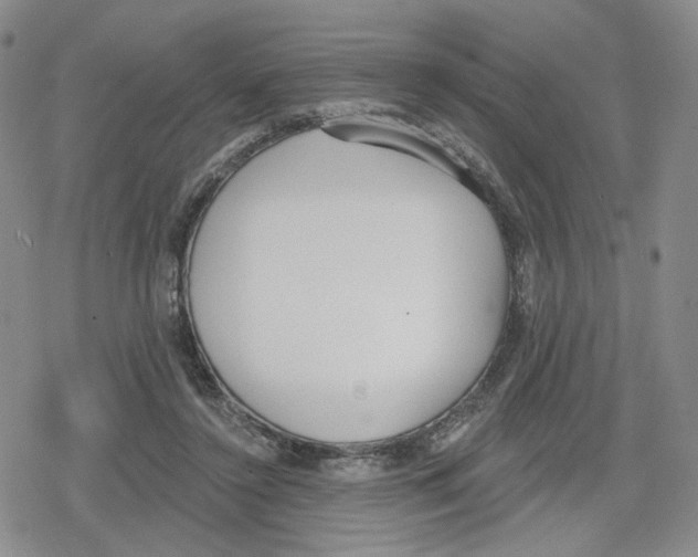 X0000079310356200612151758