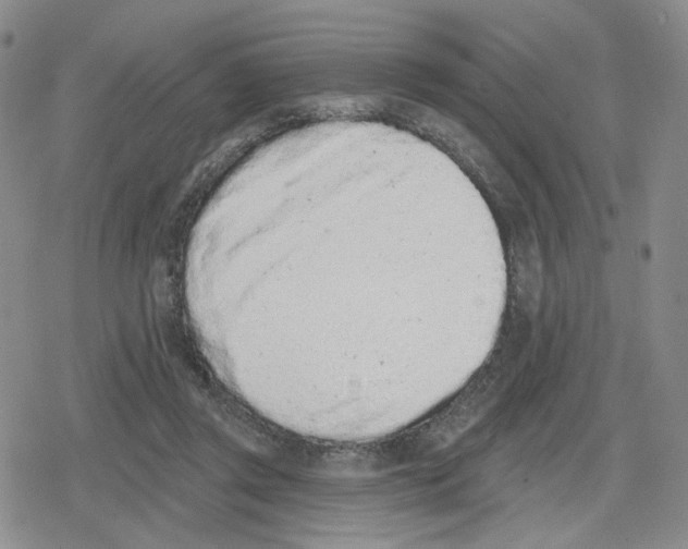 X0000079310357200612151758