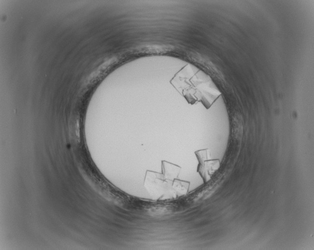 X0000079310358200612151758