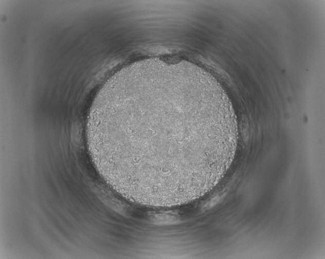 X0000079310359200612151758