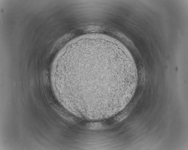 X0000079310361200612151758