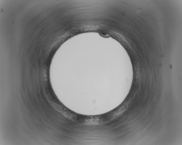 X0000079310362200612151758