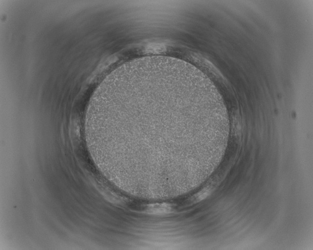 X0000079310363200612151758