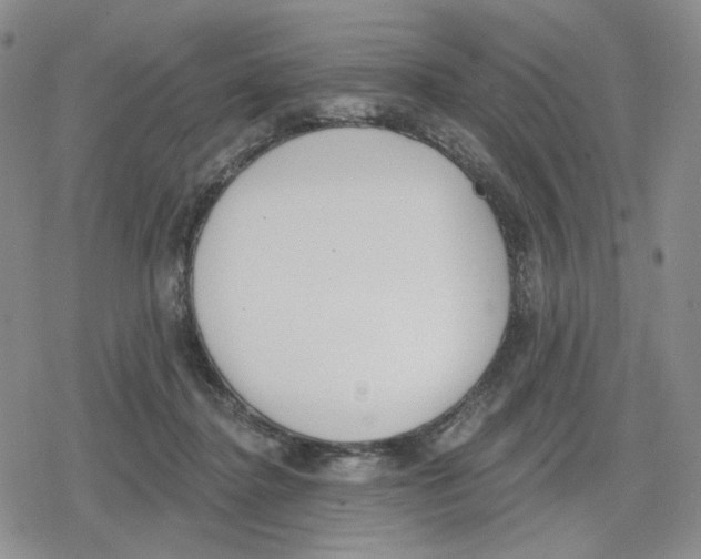 X0000079310364200612151758