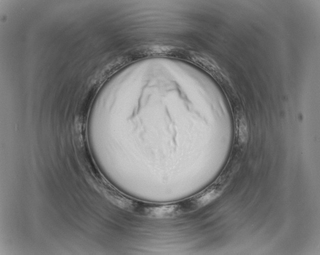 X0000079310366200612151758