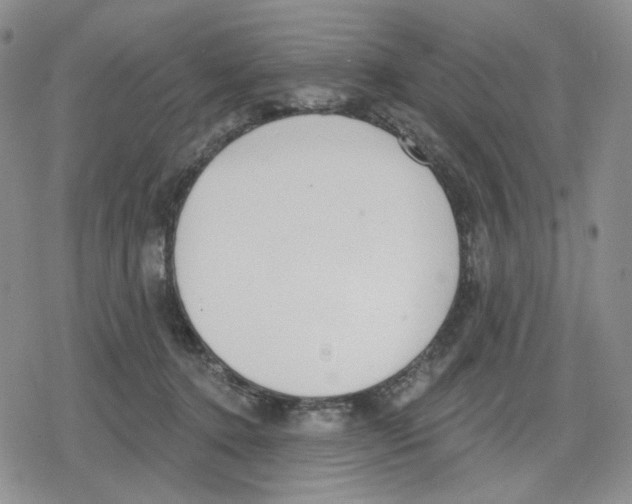 X0000079310368200612151758