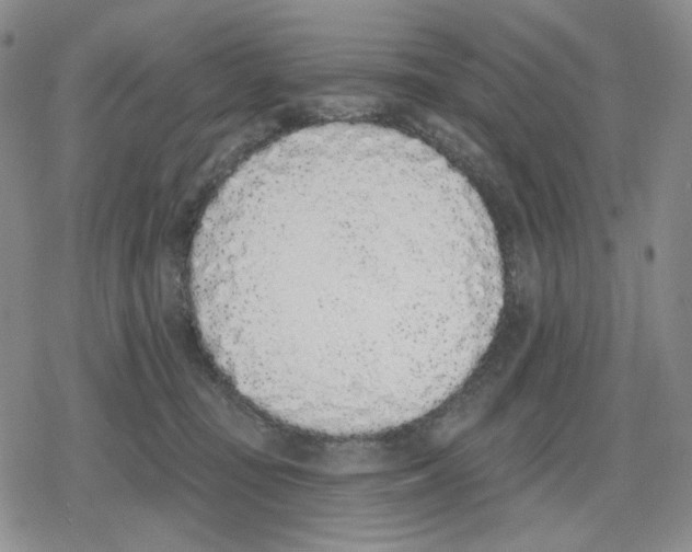 X0000079310371200612151758