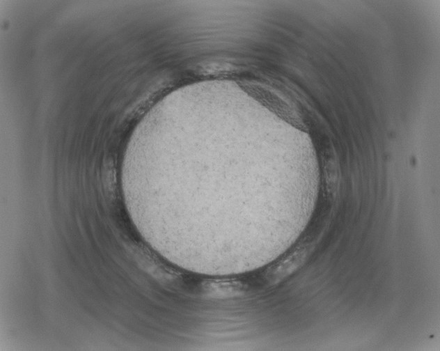 X0000079310372200612151758