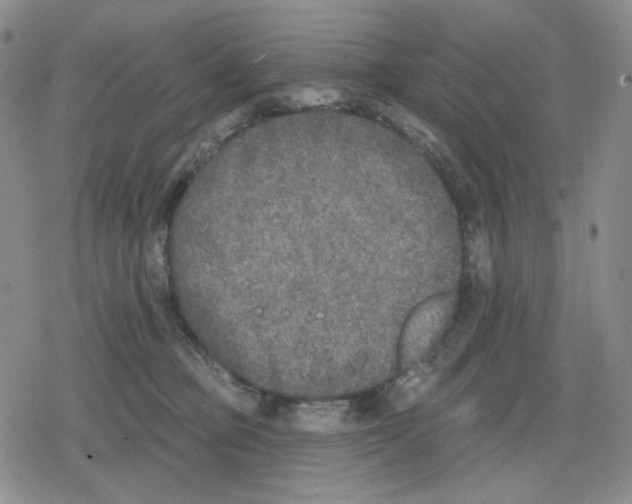 X0000079310373200612151758