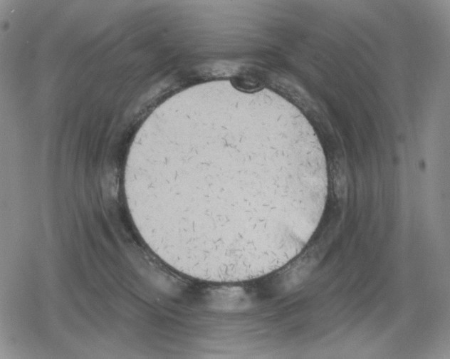 X0000079310374200612151758