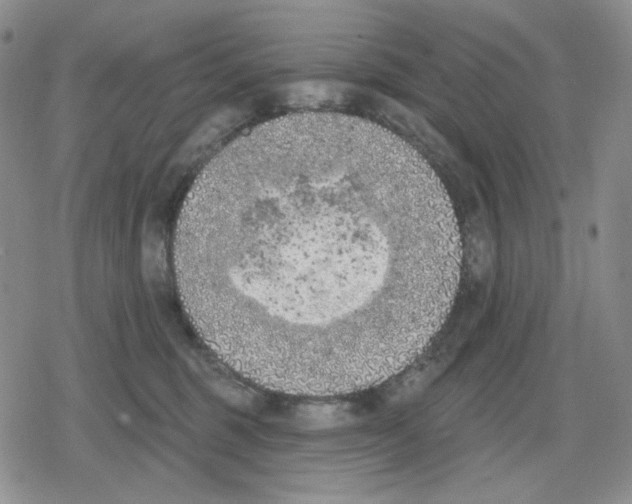 X0000079310375200612151758