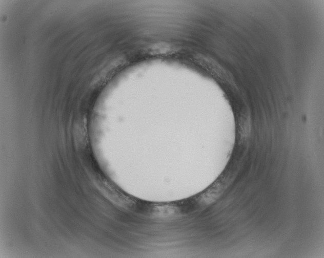 X0000079310376200612151758