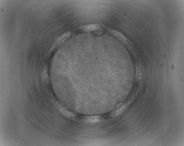 X0000079310377200612151758