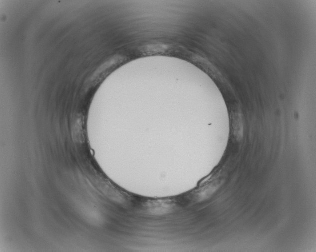 X0000079310378200612151758