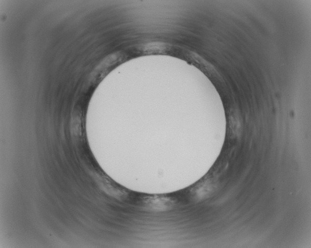 X0000079310379200612151758