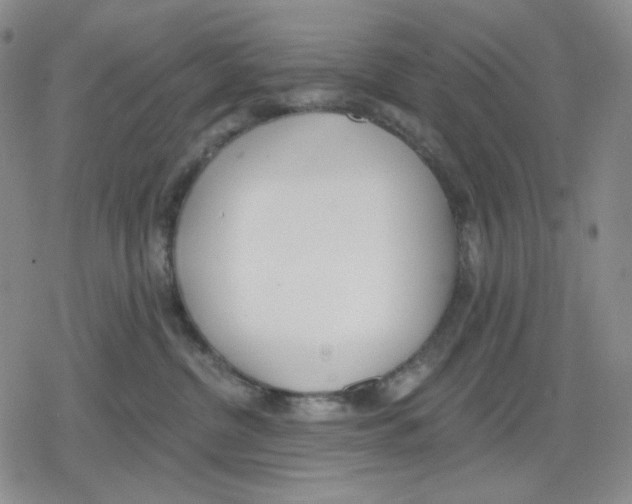 X0000079310380200612151758