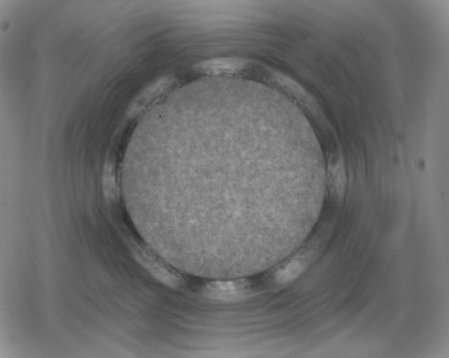 X0000079310381200612151758