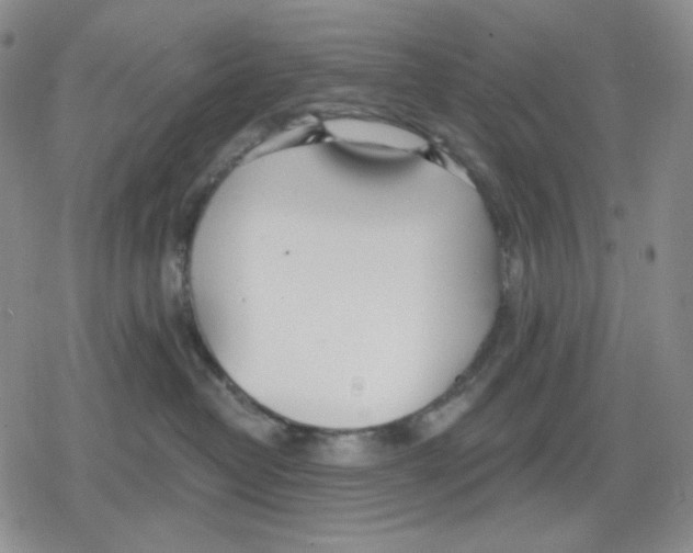 X0000079310382200612151758