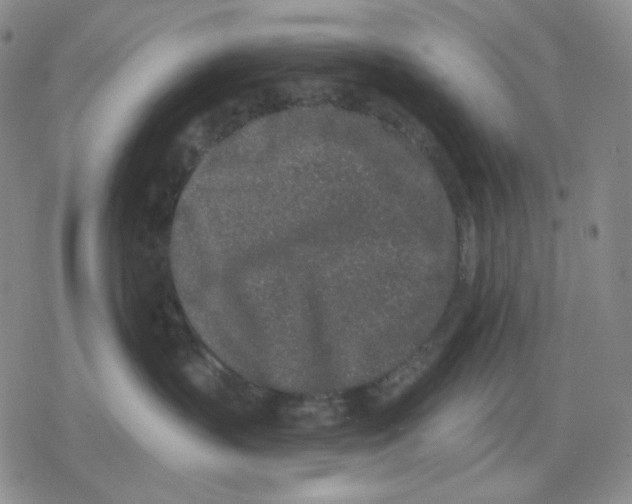 X0000079310383200612151758