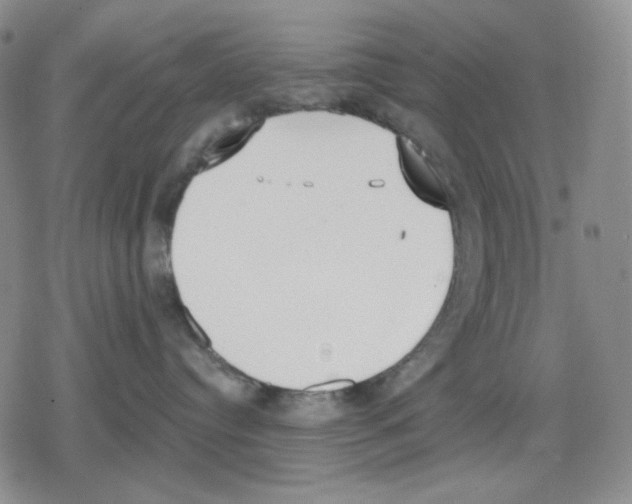 X0000079310384200612151758