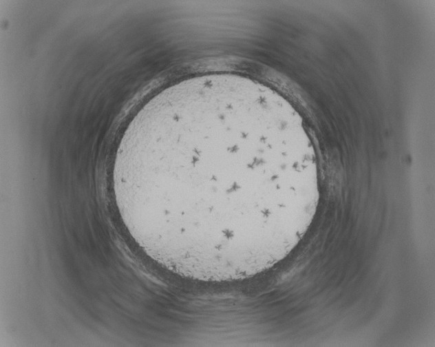 X0000079310386200612151757