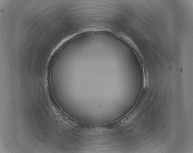 X0000079310387200612151757