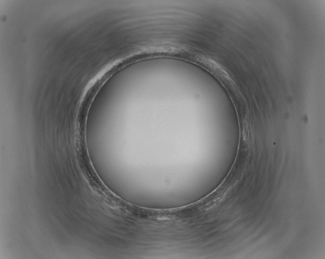 X0000079310388200612151757