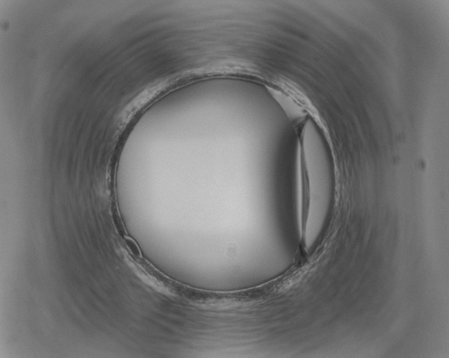 X0000079310389200612151757